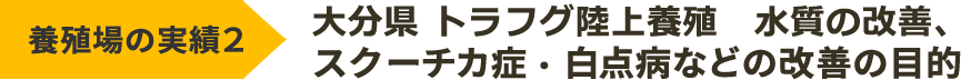 大分県 トラフグ陸上養殖　水質の改善、スクーチカ症・白点病などの改善の目的